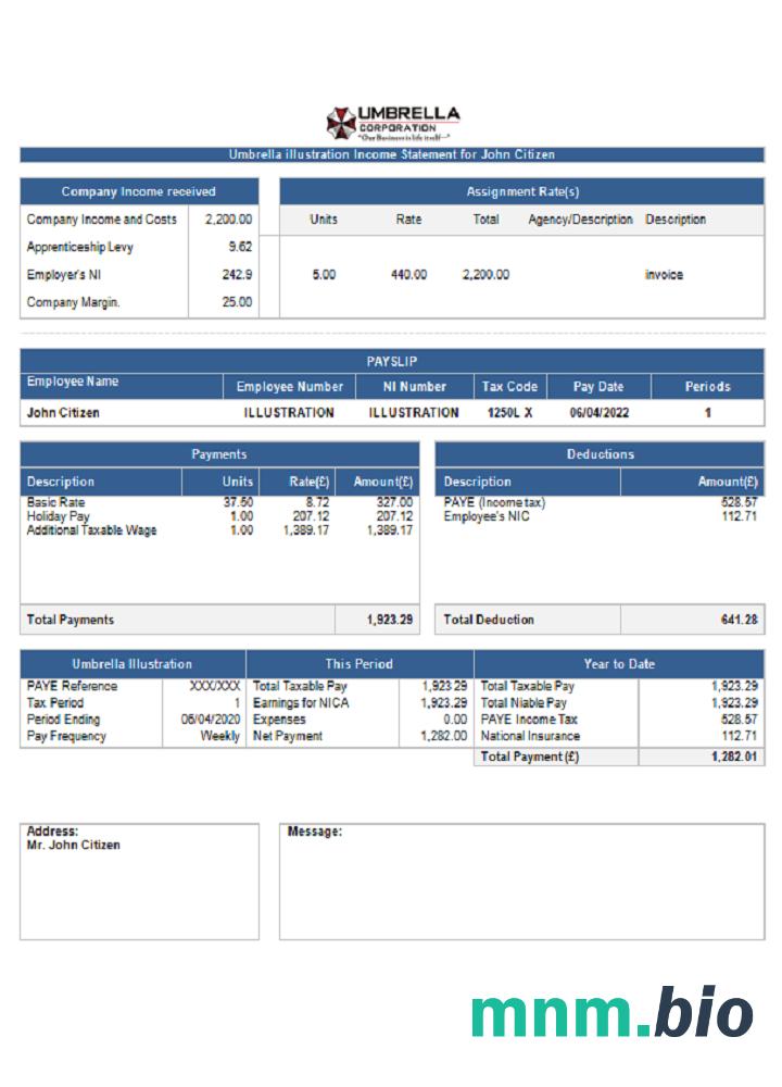 USA Umbrella pharmaceutical company pay stub
